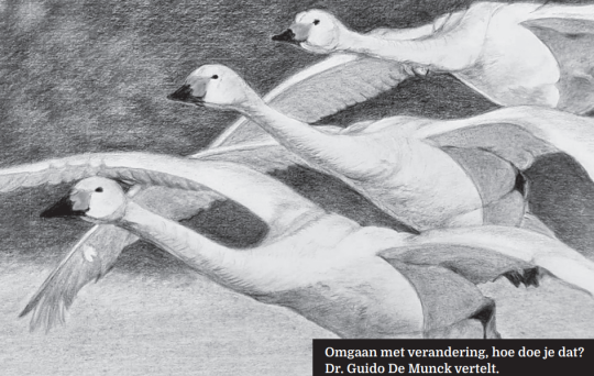 tekening met zwanen erop 